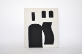Selina Reiterer