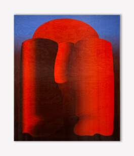 Selina Reiterer