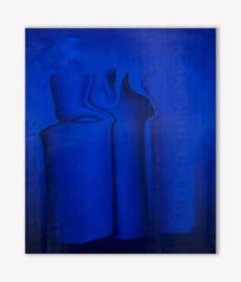 Selina Reiterer